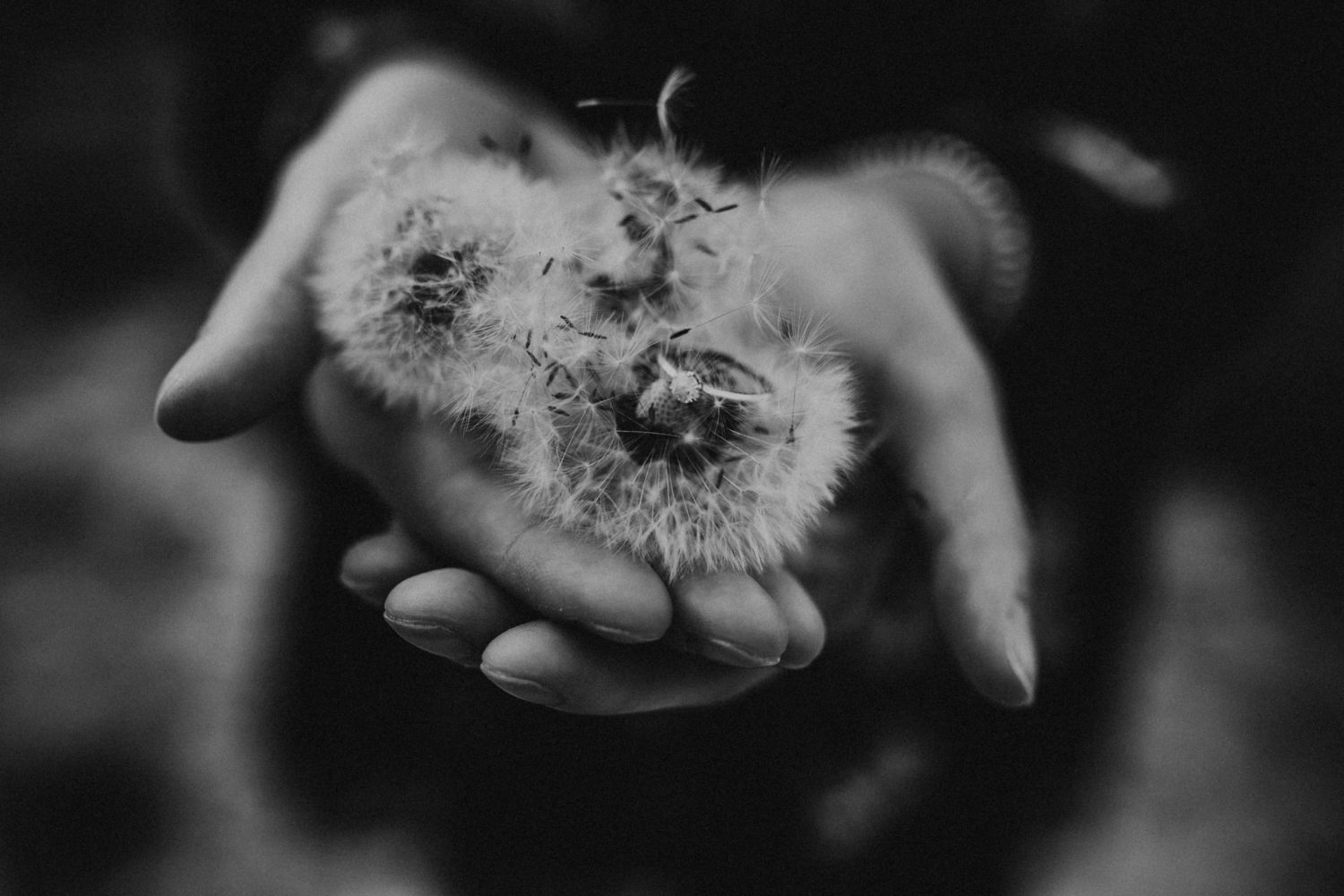 Photo by Livia Salviati destination engagement photographer in Italy and based in Verona